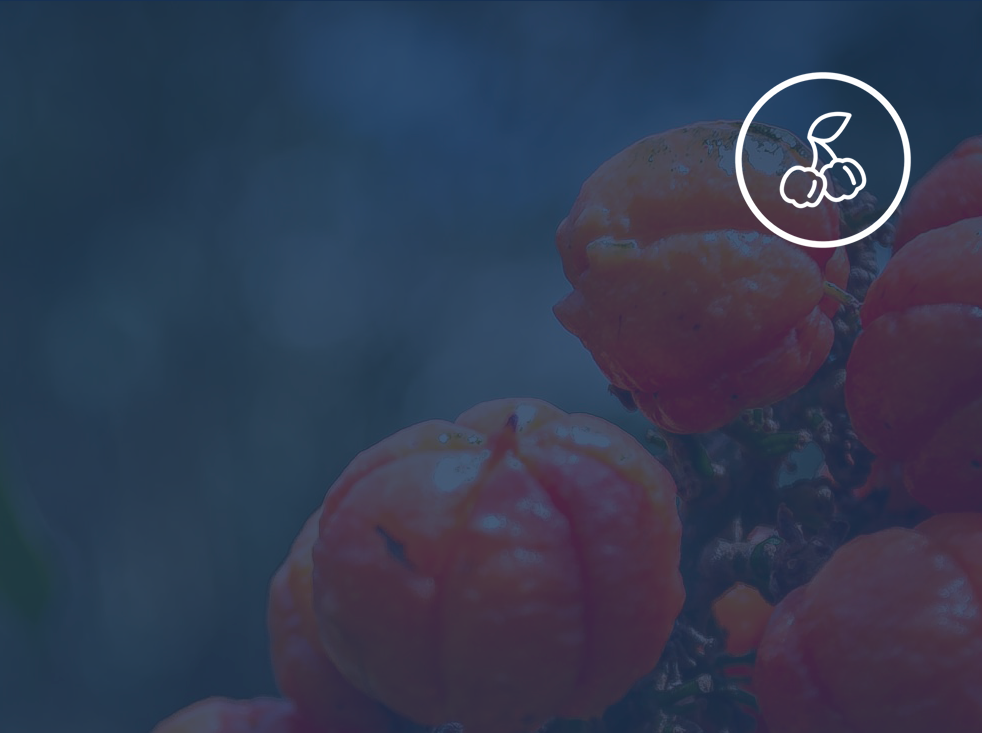 Clean Ingredients Background