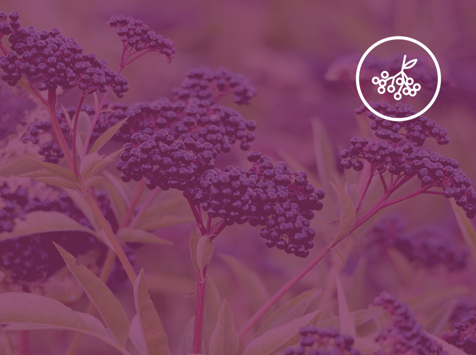 Clean Ingredients Background