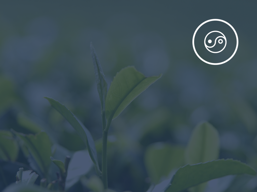 Clean Ingredients Background