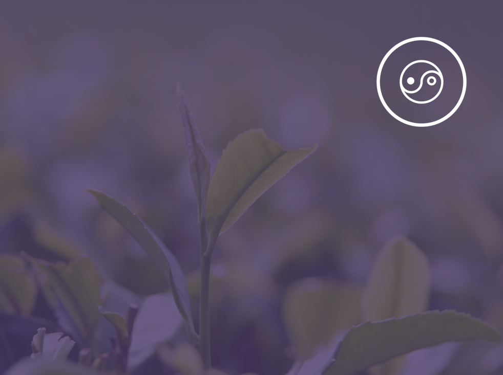 Clean Ingredients Background