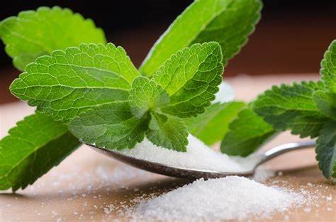 Stevia - Better Alternative to Artificial Sweeteners or Sugar