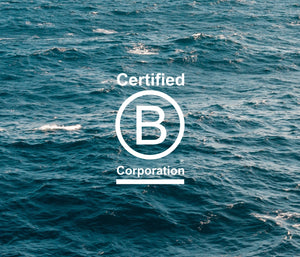 B corp certified image